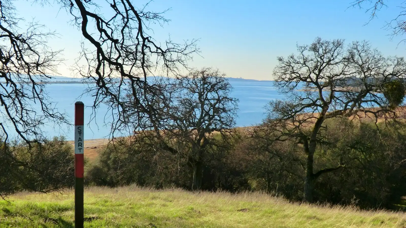 Oak trees above Folsom Lake near Granite Bay