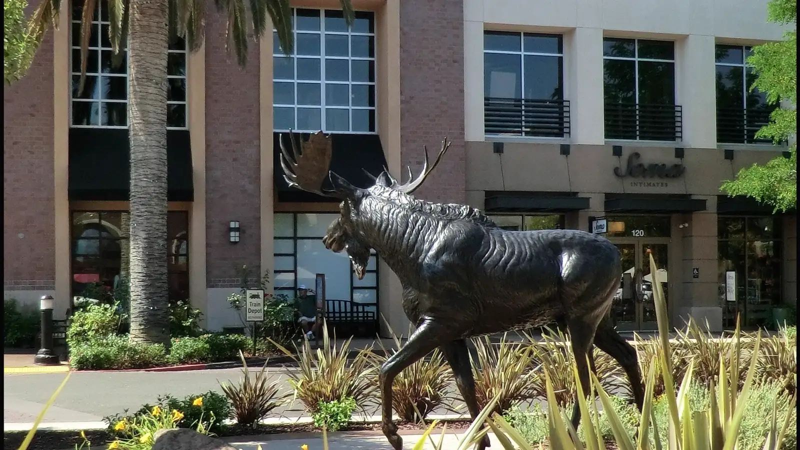 Bronze moose sculpture in downtown Roseville